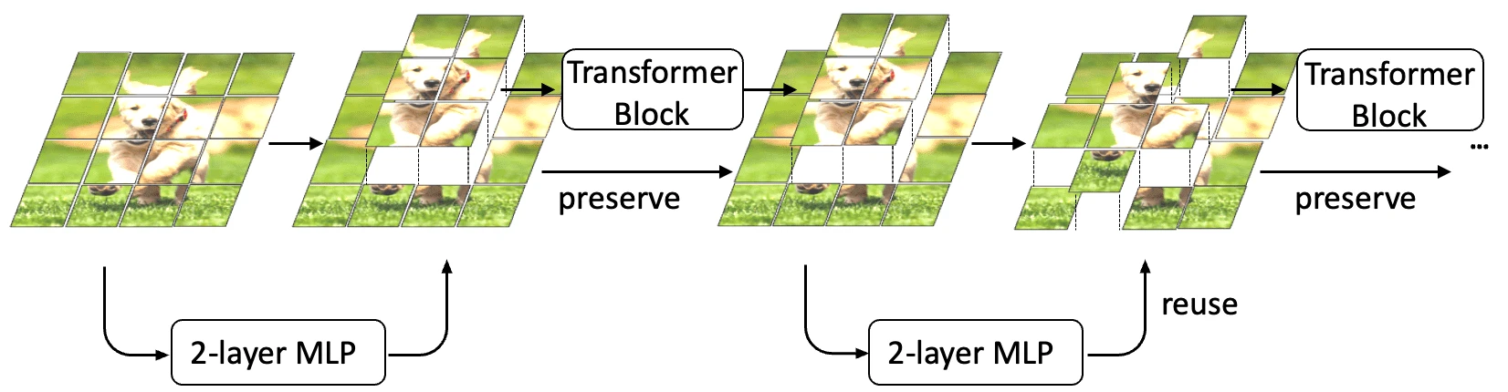 A two-layer MLP selects tokens before each Transformer block. Unselected tokens bypass the block, preserve their features, and may be selected again later.